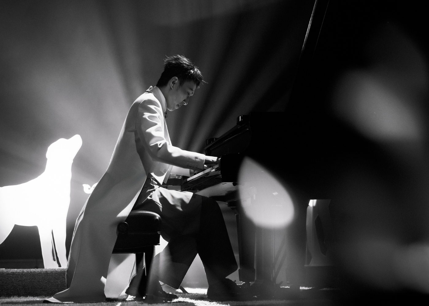 外租節目/1月 月光動物園/5